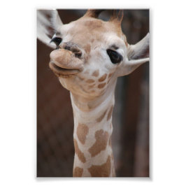 Princess 4X6 Print #1 Fotodruck