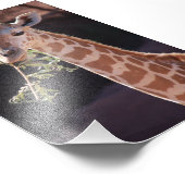 Princess 4X6 Print #2 Fotodruck (Ecke)