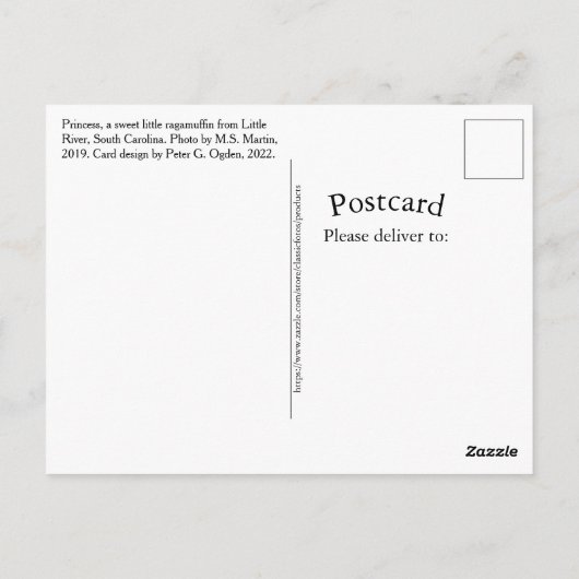 Princess A Sweet Little Southern Ragamuffin Kitty Postkarte (Rückseite)