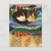 Princess A Sweet Little Southern Ragamuffin Kitty Postkarte (Vorderseite)