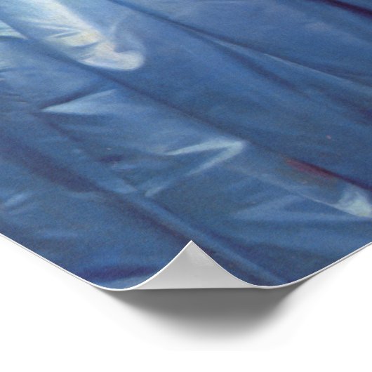 'Princess Albert de Broglie' Poster (Ecke)