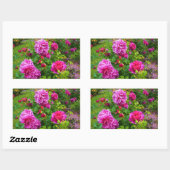 Princess Anne Rose #2 Stickers (Blatt)