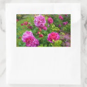 Princess Anne Rose #2 Stickers (Tasche)