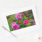 Princess Anne Rose #2 Stickers (Umschlag)