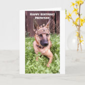 Princess Birthday Card mit belgischer Malinois Karte (Gelbe Blume)