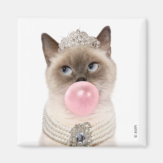Princess Cat Blowblase Kaugummi Magnet (Vorne)