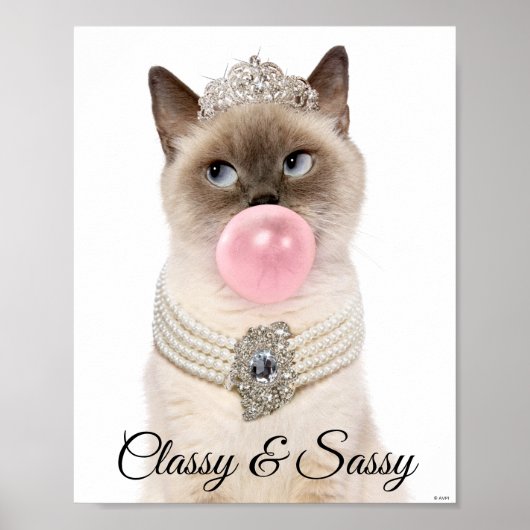 Princess Cat Blowing Bubble Gum Poster (Vorne)
