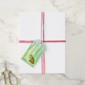 Princess Charming Frog Pack mit Geschenketiketten Geschenkanhänger (Mit Garn)