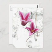 Princess Diana Clematis Postkarte (Vorne/Hinten)