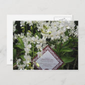 "Princess Diana" Orchid Garden, Singapur Postkarte (Vorne/Hinten)
