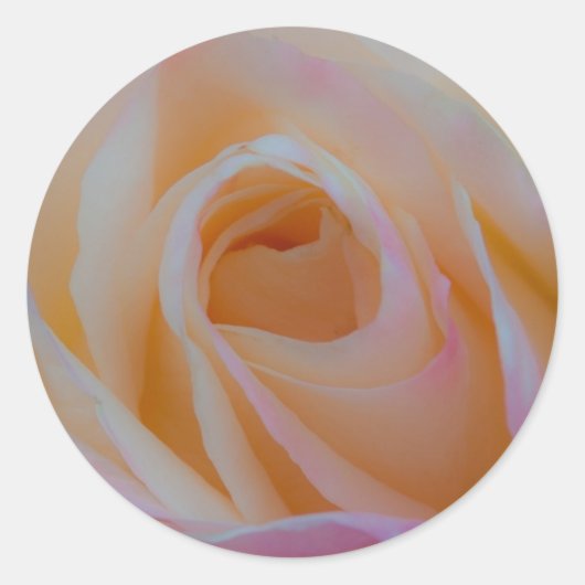 Princess Diana Rose Runder Aufkleber (Vorderseite)