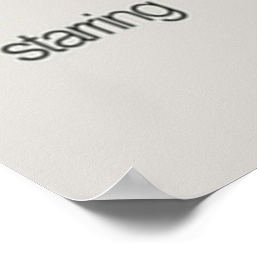 Princess Diaries 2 2004 Film Poster (Ecke)