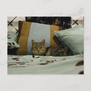 Princess Indigo Postkarte