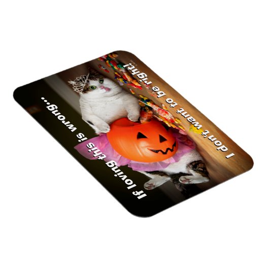 Princess-Katze mit Süßeimer Magnet (Rechte Seite)