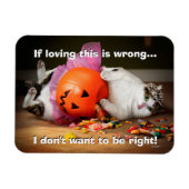 Princess-Katze mit Süßeimer Magnet (Horizontal)