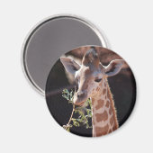 Princess Magnet #2 (Vorderseite/Rückseite)