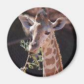 Princess Magnet #2 (Vorne)