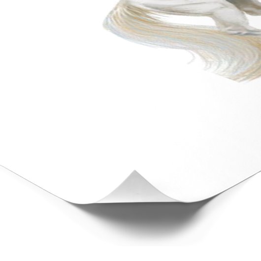 Princess Maria Poster (Ecke)