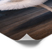 "Princess Odette & Prince Siegfried" (1) Poster (Ecke)