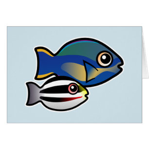 Princess Parrotfish mit Baby