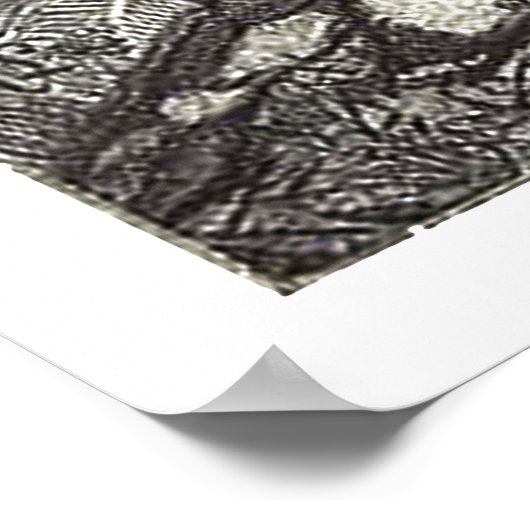 Princess & Pet Dragon Poster (Ecke)