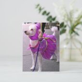 Princess Puppy Postkarte (Stehend Vorderseite)