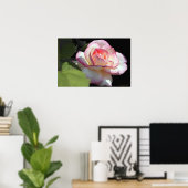 Princess Rose Poster (Heimbüro)