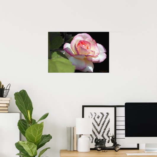 Princess Rose Poster (Heimbüro)