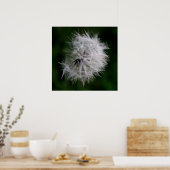 Princess Soft Dandelion Poster (Küche)