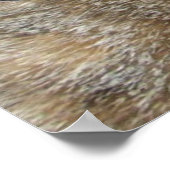 PRINCESS-STATUS/ELEGANTE KATZE,GROSSE DIVA-HAT UND POSTER (Ecke)