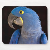 Princess Tara Mousepad (Vorne)