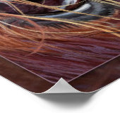 Princess Wild Heart inspirierend, © Kim McElroy Poster (Ecke)