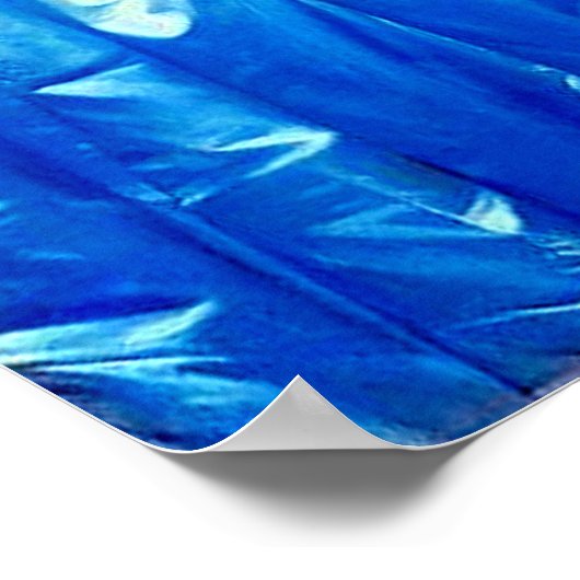 Princesse de Broglie Poster (Ecke)