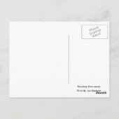 Princeton Lila Tree Blume Postkarte (Rückseite)