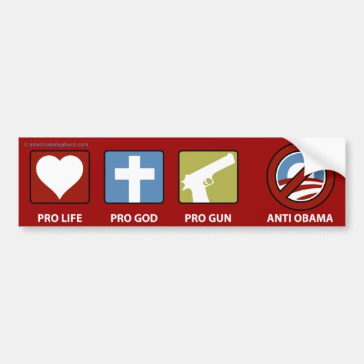 Princples gegen Obama Autoaufkleber (Vorne)