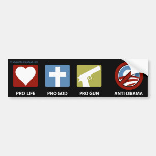 Princples gegen Obama Autoaufkleber