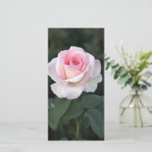 Prink Promise Rose Fotokarte (Stehend Vorderseite)