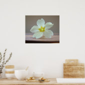 Prinrose Poster (Küche)