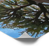 Print: Agave Poster (Ecke)