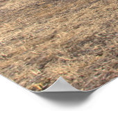 Print: Altes Holzhaus Poster (Ecke)