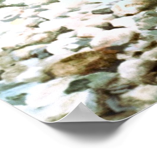 Print Brook Trout Poster (Ecke)