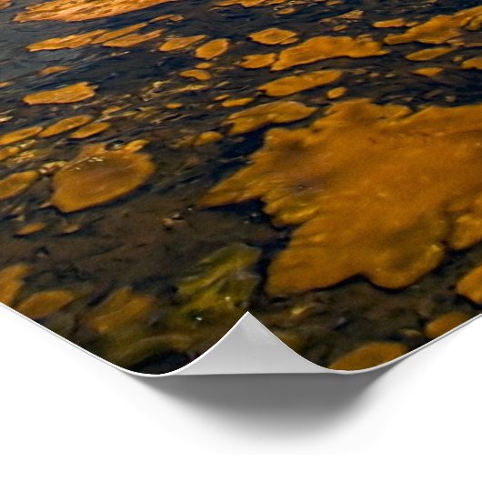 Print - Castle Geyser, Yellowstone Nationalpark, Poster (Ecke)