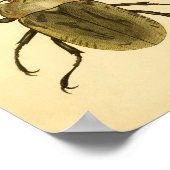 Print "Entomologie IV" Poster (Ecke)