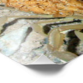 Print Foto Arizona Bark Skorpion mit Babys (Ecke)