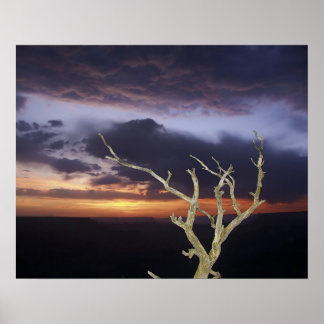 Print - Grand Canyon Sunset Poster