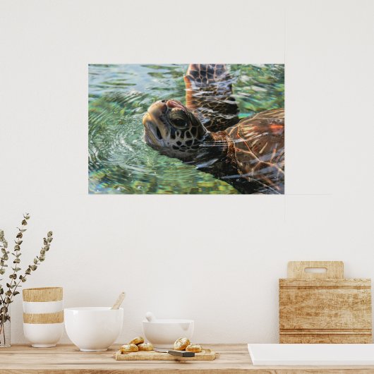 Print: Green Sea Turtle Poster (Küche)