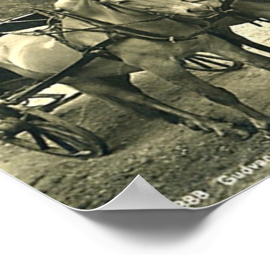 Print - Gudvangen, Norwegen Poster (Ecke)