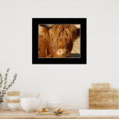 Print - Hochlandrinder Poster (Küche)