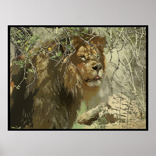 Print - König des Dschungels Poster (Vorne)