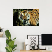 Print: Malayan Tiger Poster (Heimbüro)